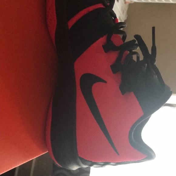 Kyrie flytrap - Picture 3 of 4